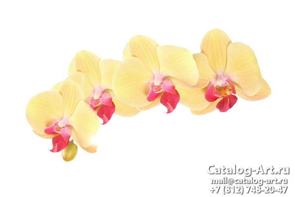 Натяжные потолки с фотопечатью - Желтые и бежевые орхидеи 14